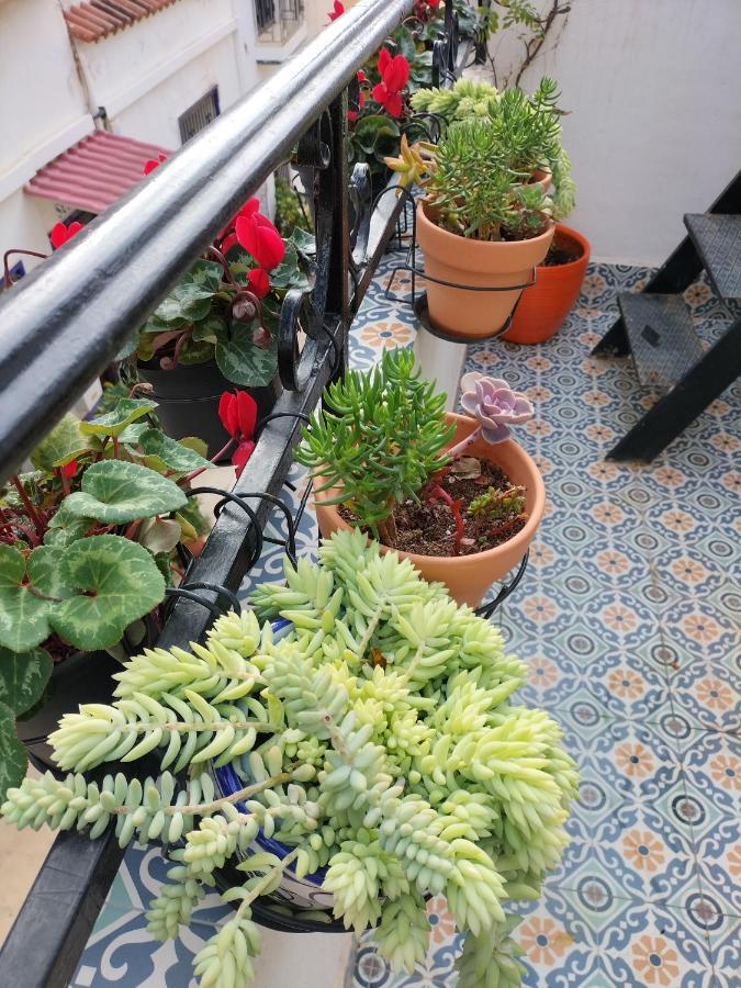 Private Terrace-Romantic-Sea, Castle Views-Central Alicante Exterior foto